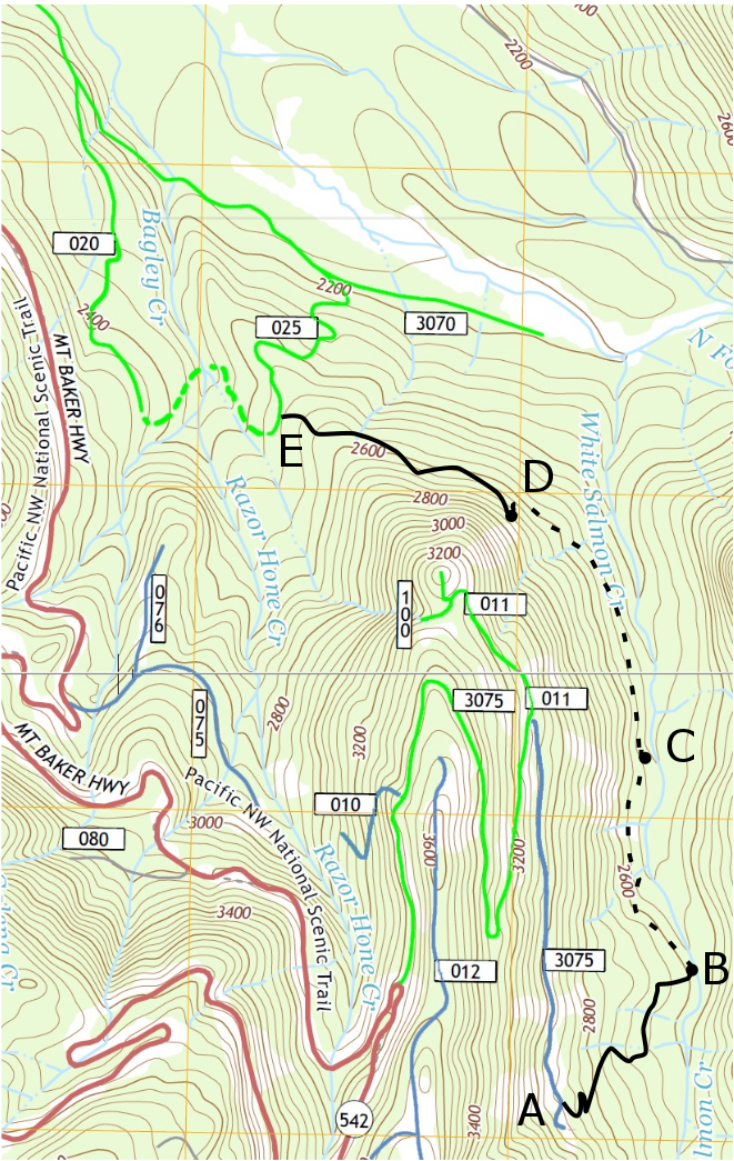 Salamander Connector Trail Details | Nooksack Nordic Ski Club